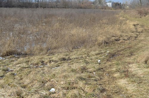 Property photo 8 - East Allen County Land Auction - 40 Acres in 2 Tracts
